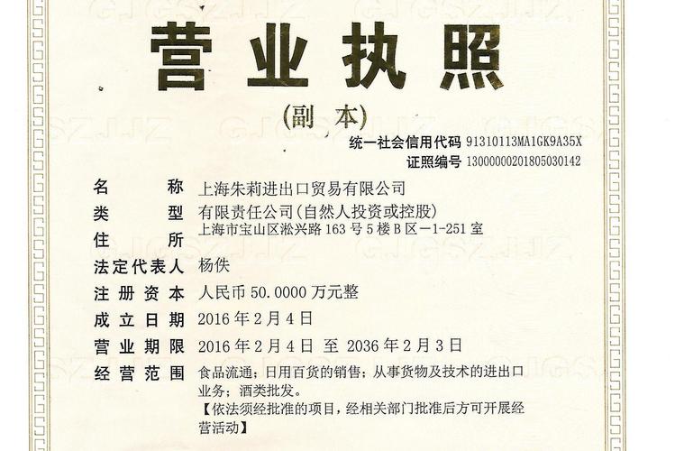 上海朱莉进出口贸易 深耕货物与技术进出口的专业服务商